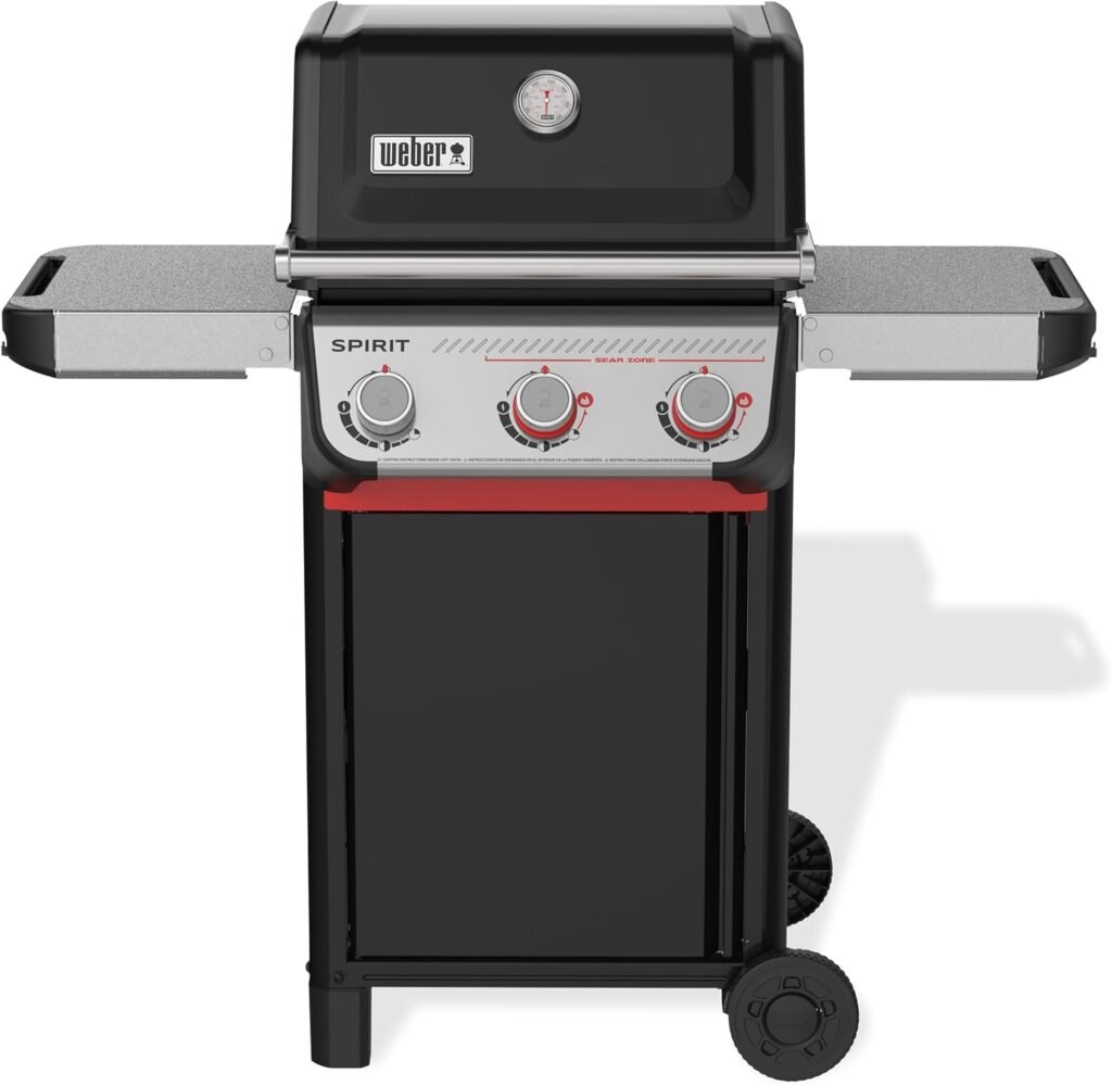 Best Wood For Smoking Brisket 7 Gas grills with smoking capability